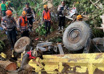 Tim K9 SAR Ditpolsatwa Polri (Dok Div Humas Polri)