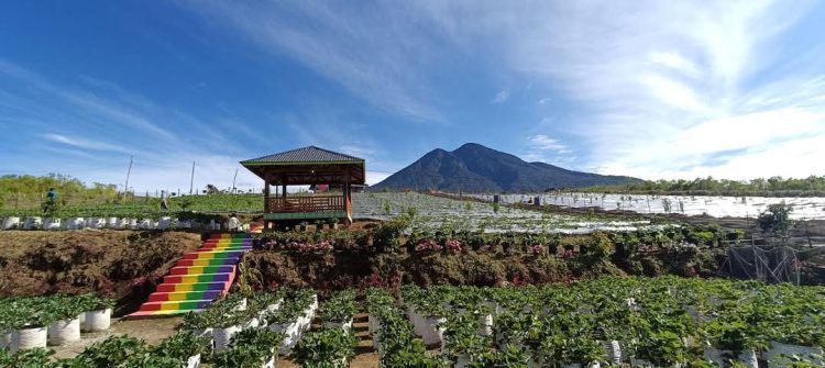 Farenza Garden di Desa Renah Alai, Kecamatan Jangkat, Kabupaten Merangin, (Dok Yola - JT)