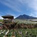 Farenza Garden di Desa Renah Alai, Kecamatan Jangkat, Kabupaten Merangin, (Dok Yola - JT)