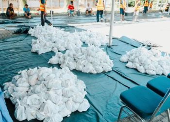 Ratusan paket daging kurban hasil pemotongan hewan dari PTPN IV PalmCo dikemas dan disiapkan untuk distribusi kepada karyawan dan masyarakat di lebih dari 50 kabupaten/kota di Indonesia, Sabtu (7/6/2025). (dok. nahar)