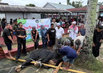 Petugas Lapas Kelas IIA Jambi mempersiapkan sapi kurban untuk disembelih, Jumat (6/6/2025).(Dok.Nahar)