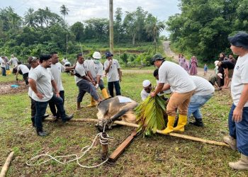 Pekerja PHR Zona 1 bersama warga bersiap menyembelih hewan kurban dalam perayaan Idul Adha 1446 H. (Dok. PHR Zona 1)