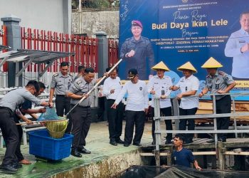 Direktur TEKFORMA dan Kerja Sama Pemasyarakatan Ditjen PAS, Maulidi Hilal, bersama Kepala Kanwil Kemenkumham Jambi, Hidayat, dan jajaran  panen raya ikan lele di Lapas Kelas IIA Jambi, Rabu (12/6/2025). (Dok. Yola)