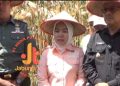 Wakil Ketua DPRD Kerinci, Surmila (tengah), bersama perwakilan TNI dan Pemkab Kerinci saat meninjau lokasi penanaman jagung di Kerinci, Jumat (13/6/2025). (Dok. Diko/Yola)