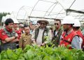 Wakil Menteri LHK Sulaiman Umar Siddiq bersama Gubernur Jambi Al Haris dan jajaran meninjau fasilitas pembibitan PT Wirakarya Sakti Distrik VII dalam rangka pengendalian karhutla, Sabtu (14/6/2025). (Dok. Erit Kominfo)