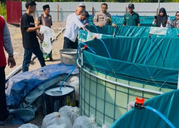 Kapolsek Kumpeh Ulu AKP Rovi bersama Sekcam dan Kepala Desa Kasang Lopak Alai menebar benih ikan nila ke kolam bioflok dalam peluncuran program budidaya perikanan air tawar di Desa Kasang Lopak Alai, Rabu (23/7/2025). (Dok. Stepanus)