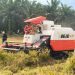 Gubernur Jambi Al Haris dan Bupati Bungo Dedy Putra menggunakan combine harvester saat panen raya padi di Dusun Bukit Sari, Kecamatan Jujuhan Ilir, Selasa (5/8/2025). (Dok. Humas)