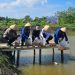 Ditpolairud Polda Jambi, Kombes Pol Agus Tri Waluyo bersama unsur TNI, pemerintah daerah, dan masyarakat saat menebar 5.000 bibit ikan nila di kolam milik warga di Parit 8, Desa Tungkal I, Kabupaten Tanjung Jabung Barat, Rabu (6/8/2025). (Dok.Humas)