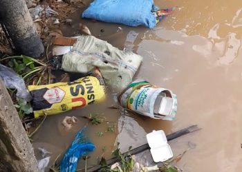 Tumpukan sampah plastik, kemasan makanan, dan limbah rumah tangga mencemari anak sungai di kawasan Nipah Panjang, Tanjab Timur, Senin (4/8/2025). (Dok. Daus)
