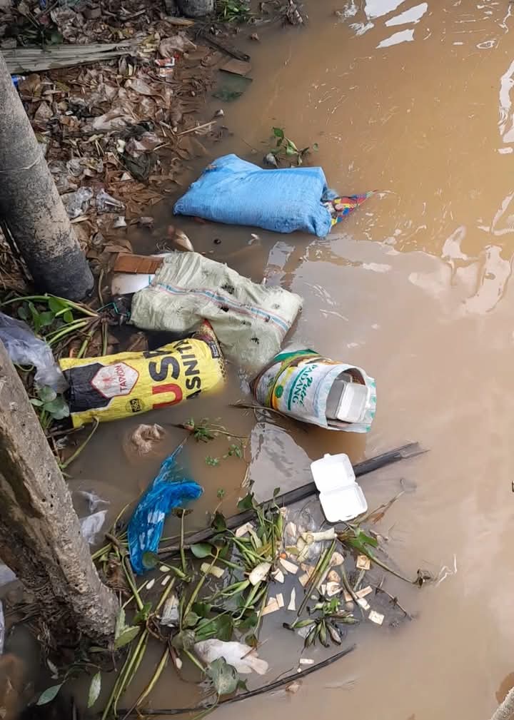 Tumpukan sampah plastik, kemasan makanan, dan limbah rumah tangga mencemari anak sungai di kawasan Nipah Panjang, Tanjab Timur, Senin (4/8/2025). (Dok. Daus)