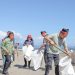 Peserta aksi lingkungan Yayasan Astra Honda Motor (AHM) menanam mangrove di Kawasan Pantai Pasir Jambak, Padang, Sumatera Barat, Jumat (22/8/2025). (Dok. Sinsen)
