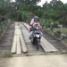 Seorang pengendara motor melintas di atas jembatan kayu lapuk di Desa Sumber Jaya, Kecamatan Kumpeh Ulu, Kabupaten Muaro Jambi. (Dok. Daus)