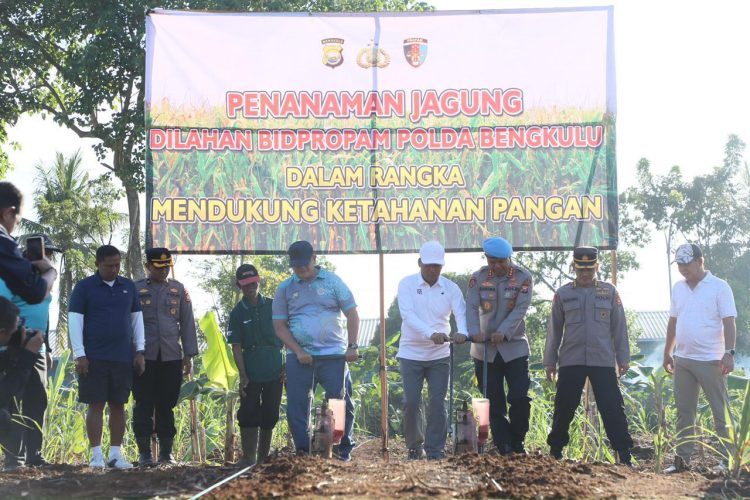Kapolda Bengkulu Irjen Pol. Mardiyono bersama jajaran menanam jagung di lahan seluas 1,4 hektar milik Bidpropam Polda Bengkulu di Kelurahan Lingkar Barat, Sabtu (13/9/2025)
(Dok. Yola)