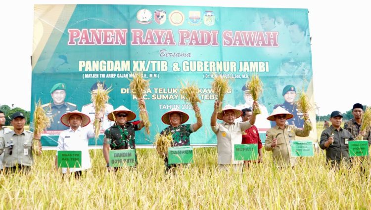 Danrem 042/Gapu Brigjen TNI Hari Purwanto bersama Bupati Tebo Agus Rubiyanto dan jajaran melaksanakan panen raya padi di Desa Teluk Singkawang, Kecamatan Sumay, Kabupaten Tebo, Kamis (11/9/2025). (Dok. Penrem 042/Gapu)