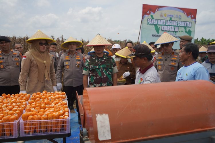 Danrem 042/Gapu Brigjen TNI Heri Purwanto berbincang dengan petani saat panen raya jagung serentak di Desa Suka Maju, Tanjung Jabung Timur, Sabtu (27/9/2025). (Dok. Nahar)