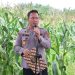 Kapolresta Jambi Kombes Pol Boy Sutan Binanga Siregar memberikan sambutan dalam kegiatan Panen Raya Jagung Serentak Kuartal III di lahan Kelompok Tani Tunas Kaya, Kecamatan Kota Baru, Kota Jambi, Sabtu (27/9/2025). (Dok. Nahar)