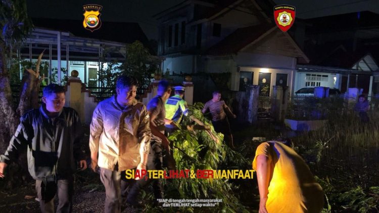 Personel Ditsamapta Polda Bengkulu bersama Satlantas dan warga bergotong royong membersihkan pohon tumbang yang menutupi badan jalan di Kota Bengkulu, Minggu (28/9/2025) malam. (Dok. Yola)
