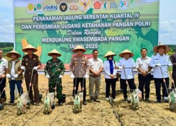 Gubernur Jambi Al Haris bersama Kapolda Jambi Irjen Pol Krisno Halomoan Siregar, Forkopimda, dan pejabat terkait menanam jagung secara simbolis dalam kegiatan Penanaman Jagung Serentak Kuartal IV dan Peresmian Gudang Ketahanan Pangan Polri 2025 di lahan PT Brahma Binabakti, Kabupaten Muaro Jambi, Rabu (8/10/2025). (Foto: Stepanus)