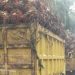 Truk pengangkut tandan buah segar (TBS) kelapa sawit melintas di jalan provinsi di Jambi. (Dok. Stepanus)
