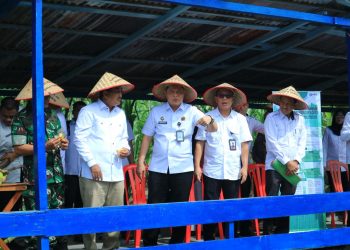 Kepala Kanwil Ditjen Pemasyarakatan Jambi, Hidayat (tengah), bersama Bupati Tanjung Jabung Barat, Drs. H. Anwar Sadat, M.Ag (dua dari kanan), meninjau area pertanian warga binaan usai meresmikan Sentra Ketahanan Pangan di Lapas Kelas IIB Kuala Tungkal, Rabu (8/10/2025). (Foto: Dokumentasi Lapas Kuala Tungkal)