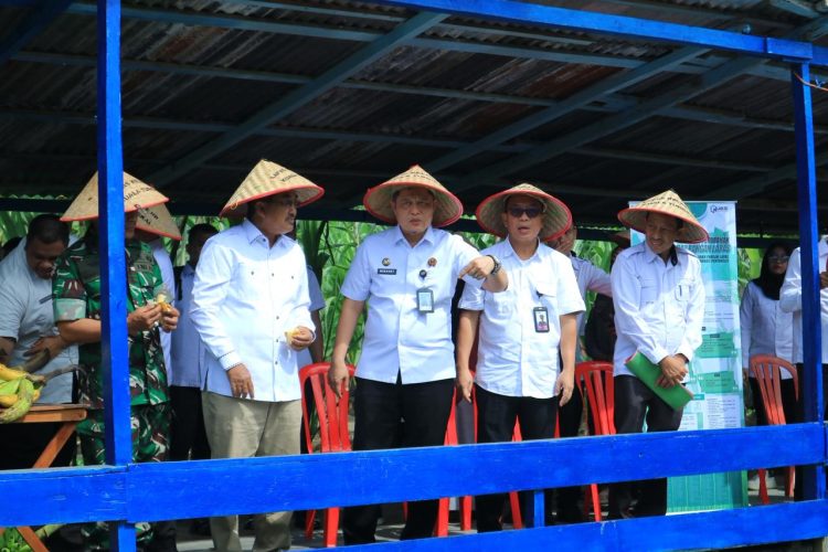 Kepala Kanwil Ditjen Pemasyarakatan Jambi, Hidayat (tengah), bersama Bupati Tanjung Jabung Barat, Drs. H. Anwar Sadat, M.Ag (dua dari kanan), meninjau area pertanian warga binaan usai meresmikan Sentra Ketahanan Pangan di Lapas Kelas IIB Kuala Tungkal, Rabu (8/10/2025). (Foto: Dokumentasi Lapas Kuala Tungkal)