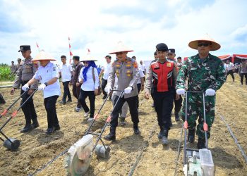 Kapolda Jambi Irjen Pol Krisno H. Siregar bersama Gubernur Jambi Al Haris dan Forkopimda menanam jagung secara simbolis di lahan PT Brahma Bina Bakti, Muaro Jambi, dalam rangka kegiatan Penanaman Jagung Serentak dan Peresmian Gudang Ketahanan Pangan Polri, Rabu (8/10/2025). (Dok. Nahar)