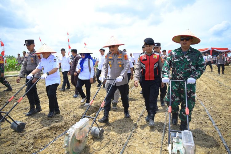 Kapolda Jambi Irjen Pol Krisno H. Siregar bersama Gubernur Jambi Al Haris dan Forkopimda menanam jagung secara simbolis di lahan PT Brahma Bina Bakti, Muaro Jambi, dalam rangka kegiatan Penanaman Jagung Serentak dan Peresmian Gudang Ketahanan Pangan Polri, Rabu (8/10/2025). (Dok. Nahar)