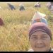 Para petani di Desa Terusan, Kecamatan Maro Sebo Ilir, Kabupaten Batanghari, Jambi, memanen padi varietas “Korea” secara gotong royong, Sabtu (11/10/2025). (Dok. Redaksi)