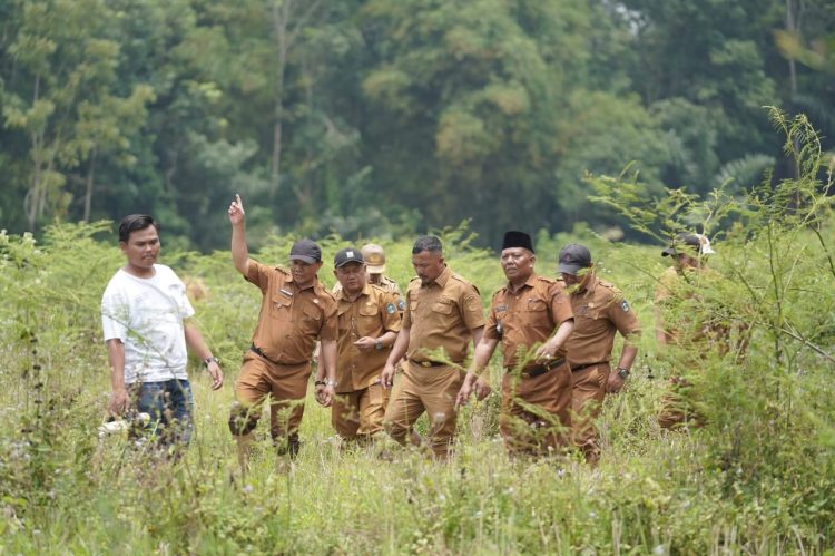 Bupati Kerinci Monadi bersama jajaran perangkat daerah meninjau langsung kondisi saluran irigasi di Desa Pendung Talang Genting, Kecamatan Danau Kerinci, Senin (13/10/2025). (Dok. Deko)