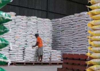 Pekerja memeriksa tumpukan karung beras di gudang Perum Bulog. (Dok. Daus)