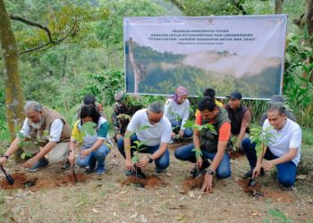 Perwakilan Yayasan AHM, pemerintah daerah, dan masyarakat melakukan penanaman bibit pohon di Kawasan Hutan Petungkriyono, Pekalongan, dalam rangka peluncuran Program Konservasi Owa Jawa “Titian Lestari”, Sabtu (29/11/2025). (Dok. Sinsen)