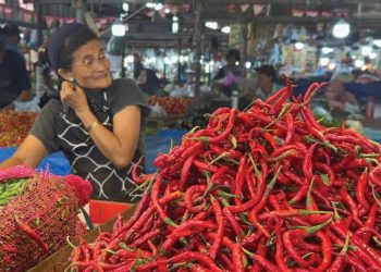 Pedagang menata cabai merah keriting di Pasar Tradisional Muara Sabak, Tanjung Jabung Timur, Sabtu (6/12/2025). (Dok. Daus)