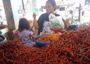 Aktivitas pedagang cabai di salah satu pasar tradisional di Kota Jambi (dok. daus)