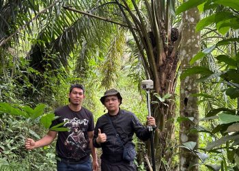 Tim survei dari Kantor Pertanahan Kabupaten Bengkulu Tengah melakukan kegiatan penataan batas wilayah di Desa Penembang, Kecamatan Merigi Kelindang, Rabu (4/3/2026). (Foto:Yl)
