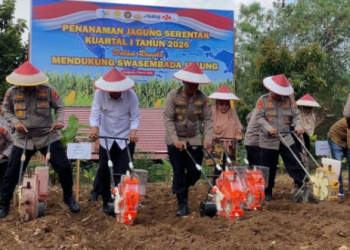 Bupati Bengkulu Tengah Rachmat Riyanto bersama Kapolda Bengkulu dan Kapolres Bengkulu Tengah saat mengikuti penanaman jagung serentak di Polsek Pondok Kelapa. (foto: Yl)