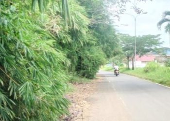 Kondisi ruas jalan di kawasan Keramas, Kelurahan Parit Culum I, Muara Sabak Barat, Tanjung Jabung Timur, Kamis (23/4/2026) (Dok. Daus)