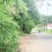 Kondisi ruas jalan di kawasan Keramas, Kelurahan Parit Culum I, Muara Sabak Barat, Tanjung Jabung Timur, Kamis (23/4/2026) (Dok. Daus)