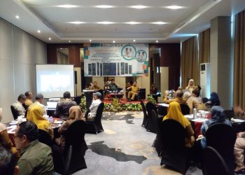 Suasana konsultasi publik penyusunan draf RPPEG Kabupaten Tanjung Jabung Timur periode 2026–2055 di Hotel Aston, Selasa (28/4/2026) (Dok. Stepanus)