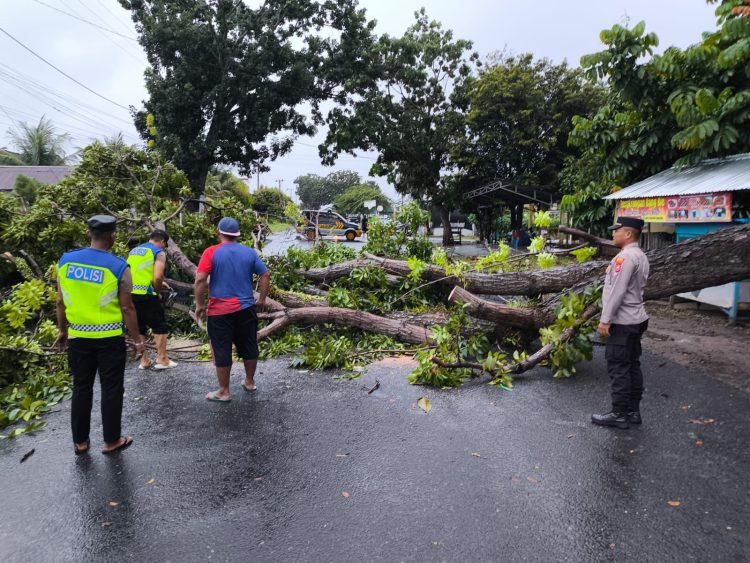 Polsek Selebar turun tangan mengevakuasi batang pohon yang menutup Jalan Bumi Ayu Raya, Selasa (7/4/2026). (Foto:Yola)