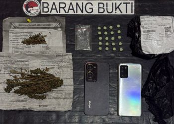Barang bukti berupa 20 butir tablet warna hijau yang diduga narkotika jenis ekstasi yang dibungkus plastik hitam. (Foto:ist)
