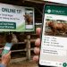Ilustrasi Digitalisasi Pasar Ternak 'Sapi Online' (Dok. Google)