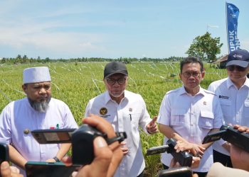 Menteri Koordinator Bidang Pangan, Zulkifli Hasan, menghadiri Rembuk Tani di Jalan Danau, Kota Bengkulu, Jumat (1/5/2026). (Foto:yola)