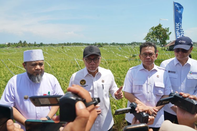 Menteri Koordinator Bidang Pangan, Zulkifli Hasan, menghadiri Rembuk Tani di Jalan Danau, Kota Bengkulu, Jumat (1/5/2026). (Foto:yola)