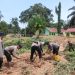 Personel Satbrimob Polda Jambi membersihkan material lumpur akibat banjir di Desa Teluk Kecimbung, Kecamatan Bathin VIII, Kabupaten Sarolangun. (Dok. Humas)
