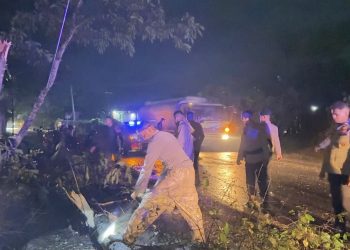 Personel Batalyon A Pelopor Satbrimob Polda Jambi melakukan evakuasi pohon tumbang yang menutup badan jalan akibat hujan dan angin kencang di wilayah Kota Jambi, Kamis (7/5/2026). (Dok Redaksi)