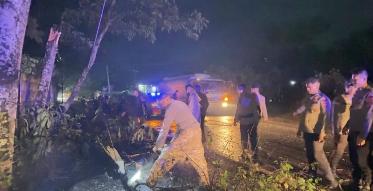 Personel Batalyon A Pelopor Satbrimob Polda Jambi melakukan evakuasi pohon tumbang yang menutup badan jalan akibat hujan dan angin kencang di wilayah Kota Jambi, Kamis (7/5/2026). (Dok Redaksi)