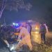 Personel Batalyon A Pelopor Satbrimob Polda Jambi melakukan evakuasi pohon tumbang yang menutup badan jalan akibat hujan dan angin kencang di wilayah Kota Jambi, Kamis (7/5/2026). (Dok Redaksi)