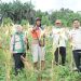 Wakil Ketua DPRD Kota Jambi sekaligus Ketua DPC HKTI Kota Jambi, Muhammad Yasir, meninjau panen raya cabai merah dan kacang tanah milik Kelompok Tani Tunas Jaya di Kelurahan Paal Lima, Kecamatan Kota Baru, (Dok Redaksi)